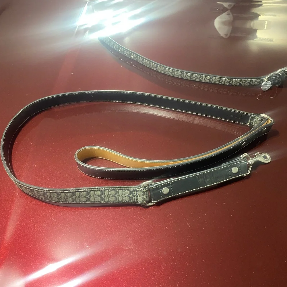 Coach Dog leash and collar